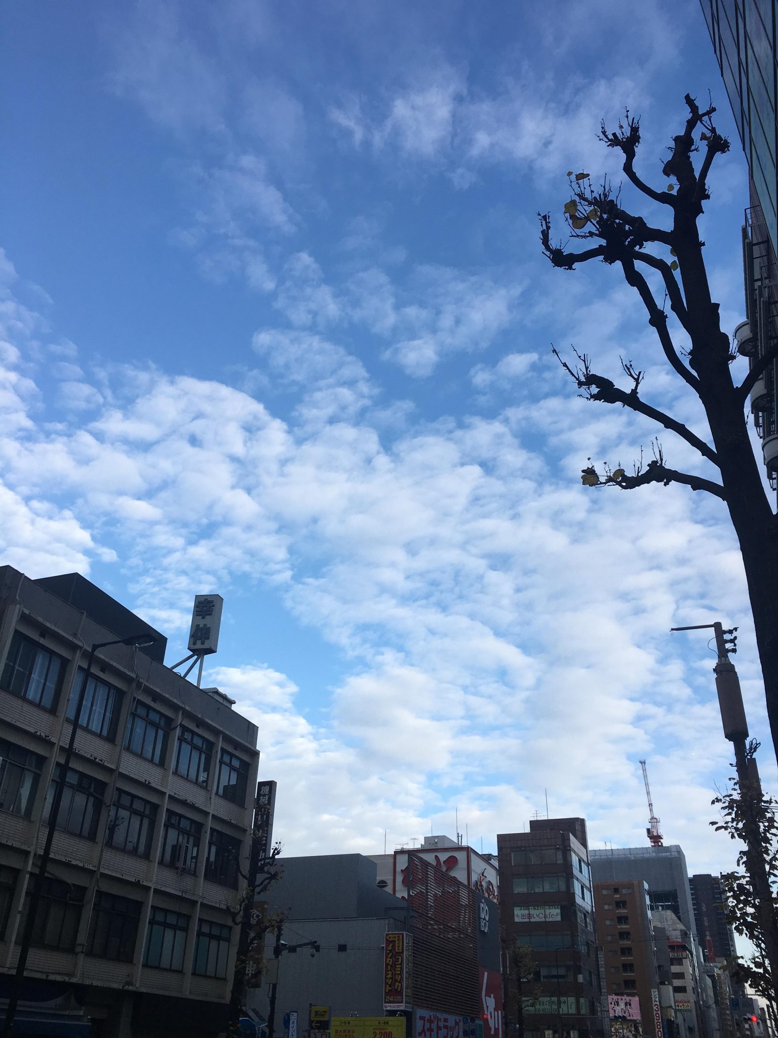 오사카 푸른 하늘