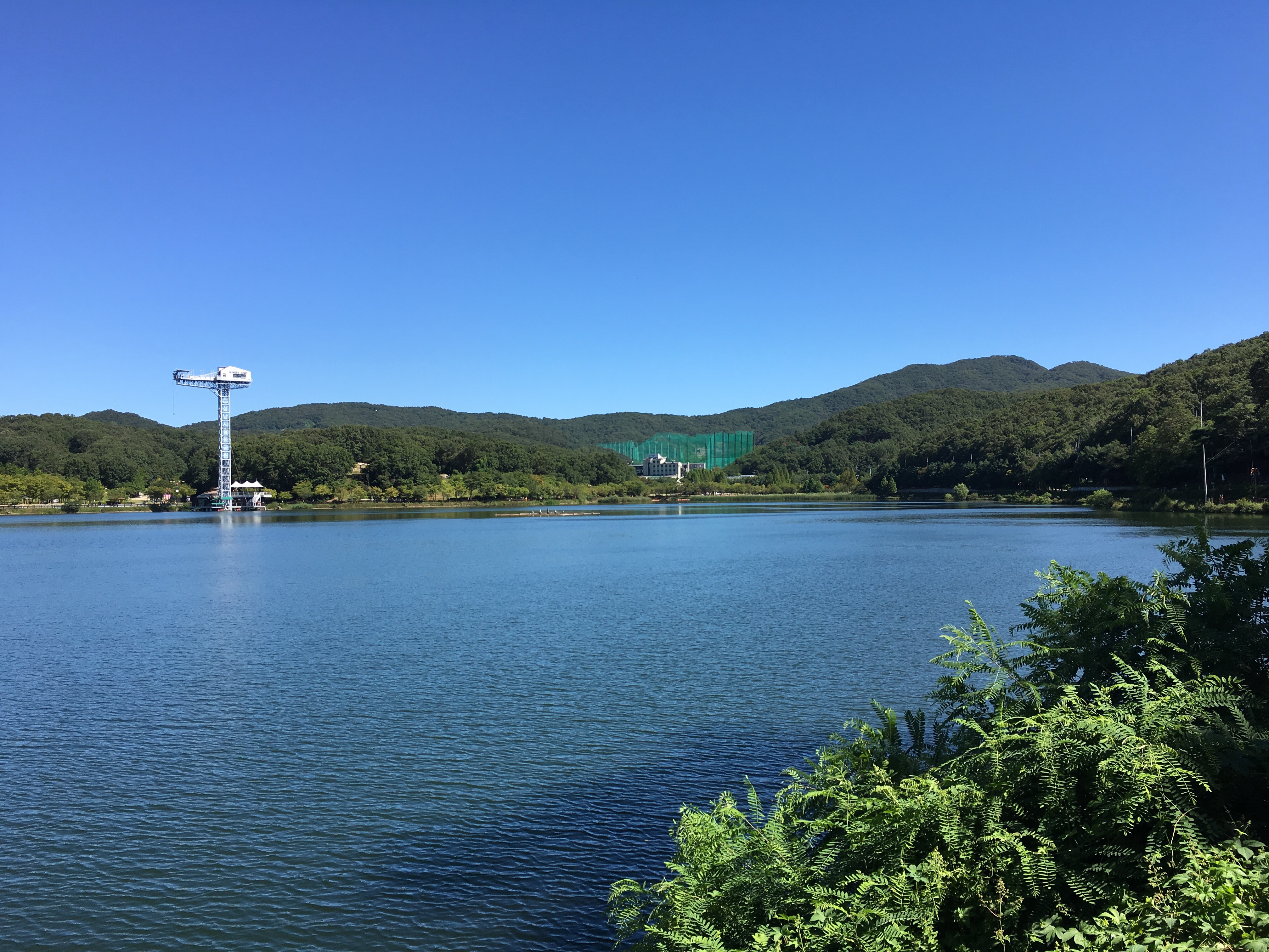 분당 율동공원 호수