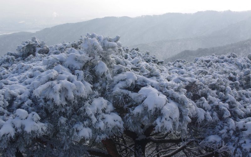 서울 청계산 산행기 (2017년 1월 30일)