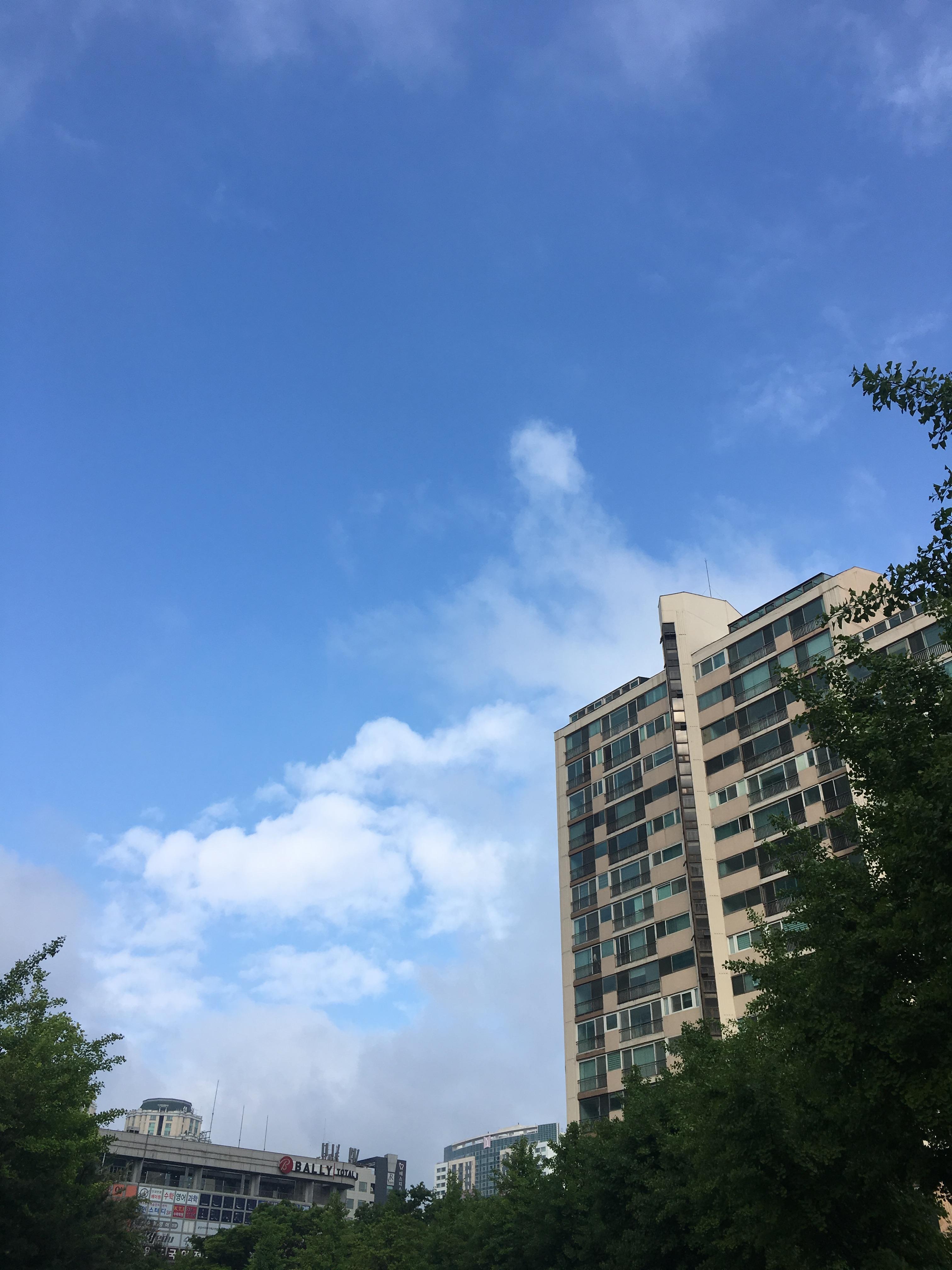 비가 그치고 파란 하늘이 나왔다. 새로운 대한민국에 희망을 가져본다.