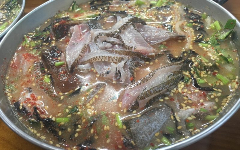 [제주여행 2017] 물회가 맛있는 공천포 식당