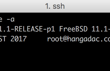 [홈서버] FreeBSD Upgrade (11.0 -> 11.1)