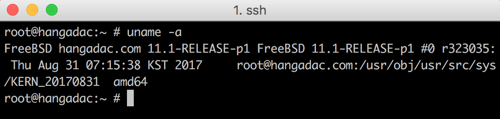 FreeBSD_11.1_uname