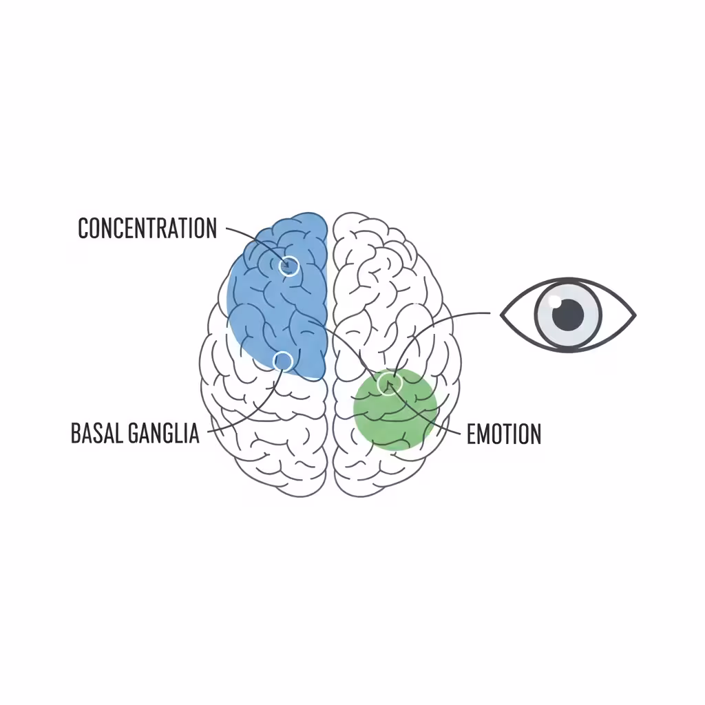 imagen 4.0 ultra generate preview 06 06 b title 뇌 활동과 눈 깜빡임의