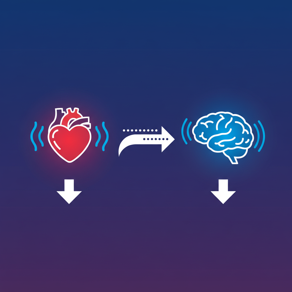 A clean infographic showing the physiological response of vasovagal syncope, with heart and brain icons, depicting slowed heart rate and decreased blood flow to the brain, high contrast, modern layout, colored background, no text