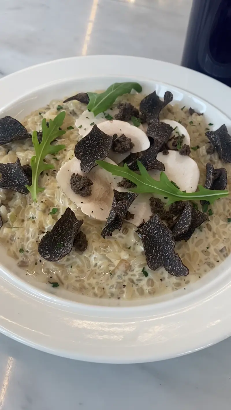 31 메리가든 리조또2 shorts