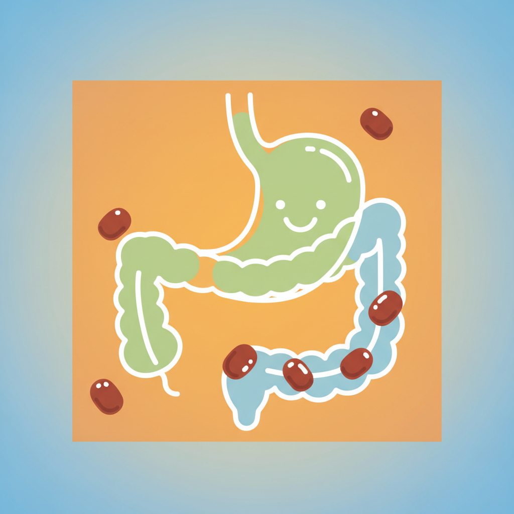 A simplified infographic style image showing a healthy digestive system or a comfortable stomach area, with jujubes subtly integrated into the design. Clean lines, high contrast, colored background, no text, aspect ratio 1:1