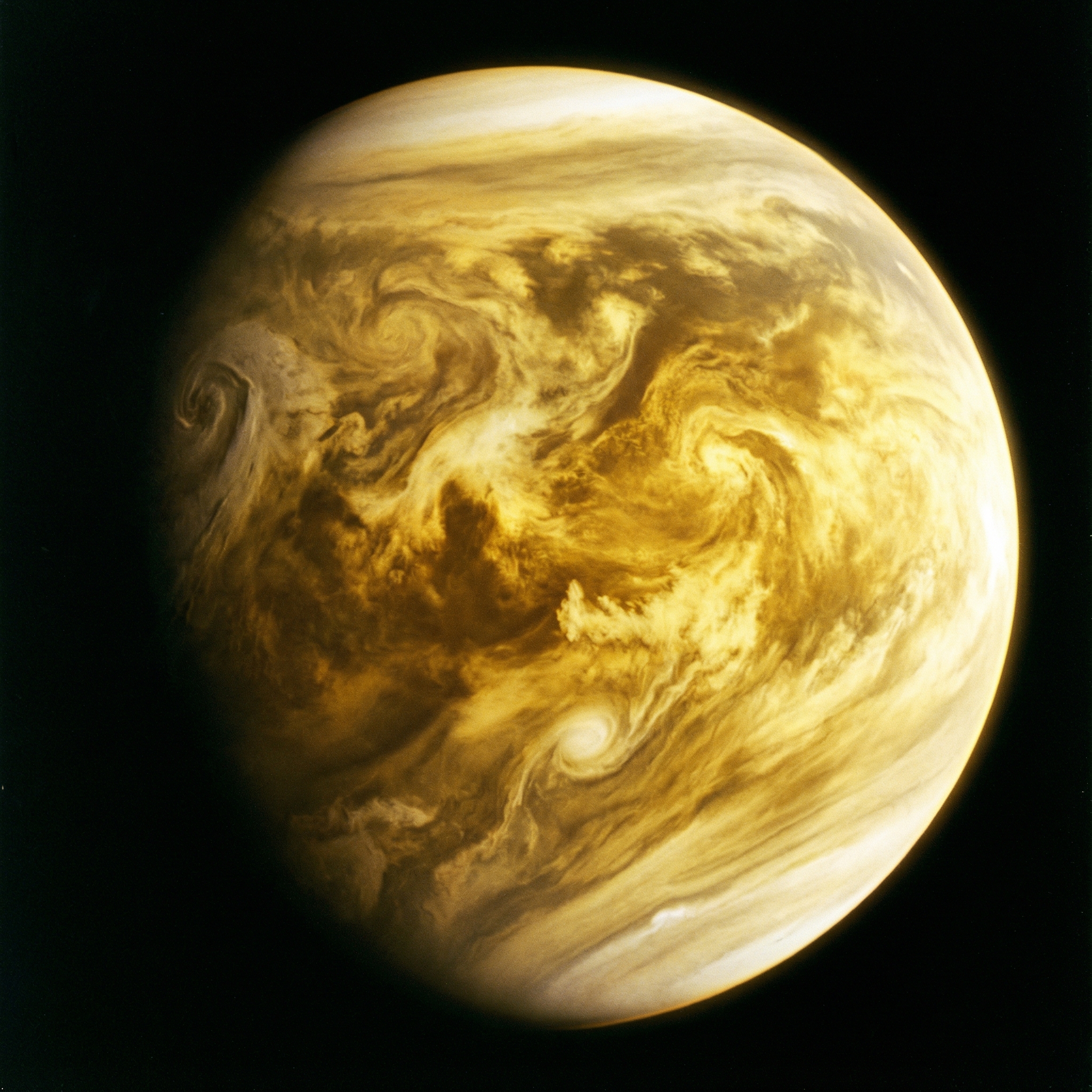 A vibrant, high-contrast image of Venus, focusing on its thick, swirling yellow and white sulfuric acid clouds. The clouds completely obscure the surface, creating a mysterious and foreboding atmosphere. The planet is illuminated by a distant sun. Aspect ratio 1:1, no visible text.
