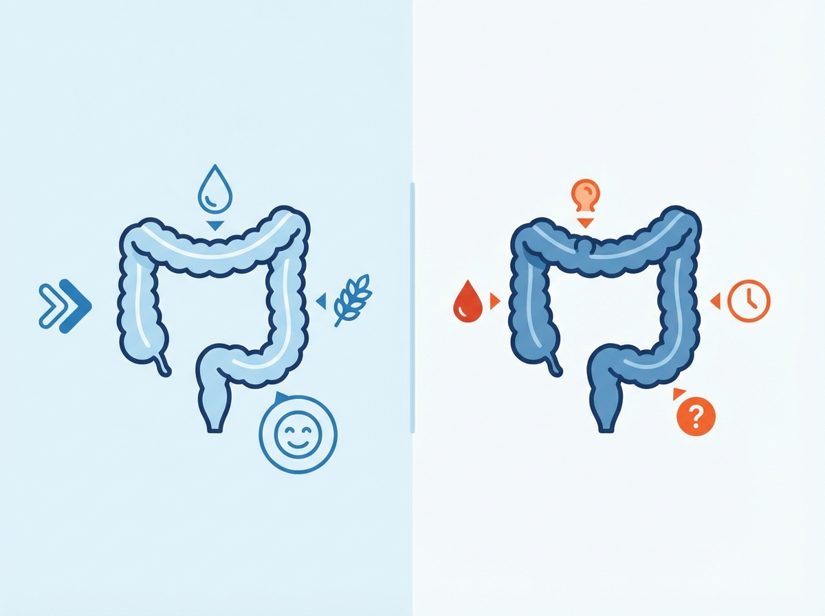 A clean and modern medical infographic showing a healthy human colon on one side and potential early warning signs of colon cancer on the other side. Minimalist layout with professional medical icons representing digestive health. 4:3 aspect ratio, high contrast, soft blue and white theme, no text.