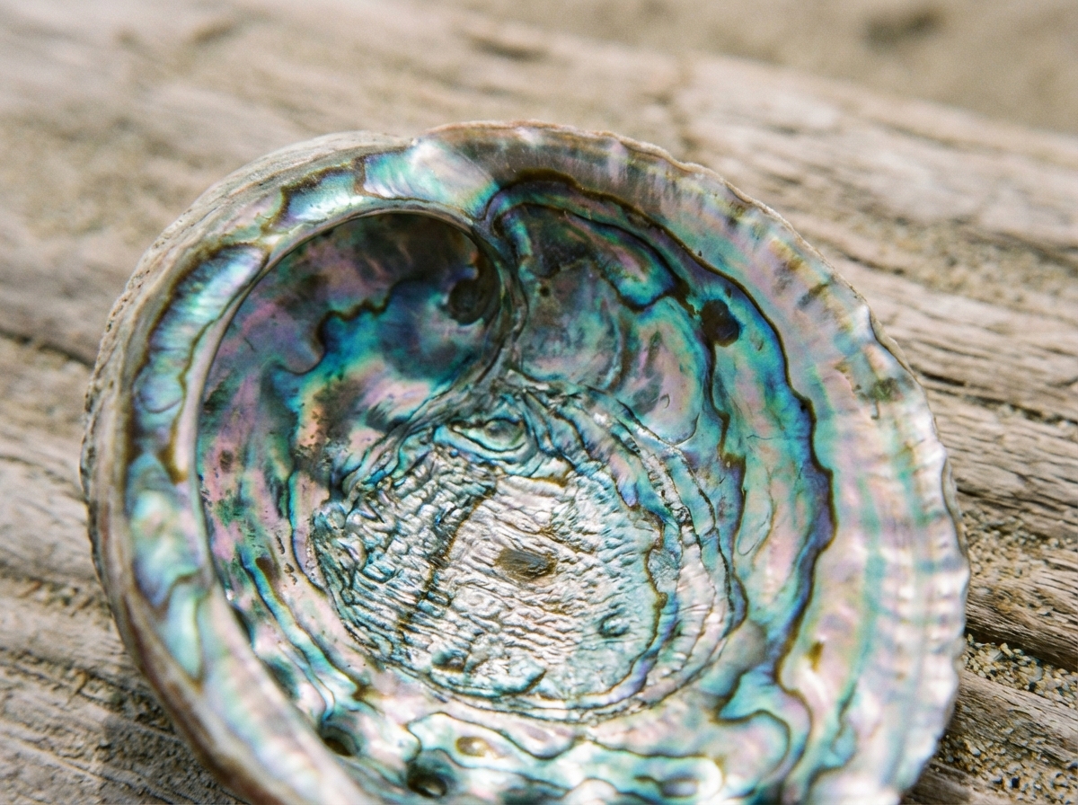 A macro shot of the iridescent interior of an abalone shell, showing shimmering pearl-like textures, artistic rendering, textured background, no text, 4:3
