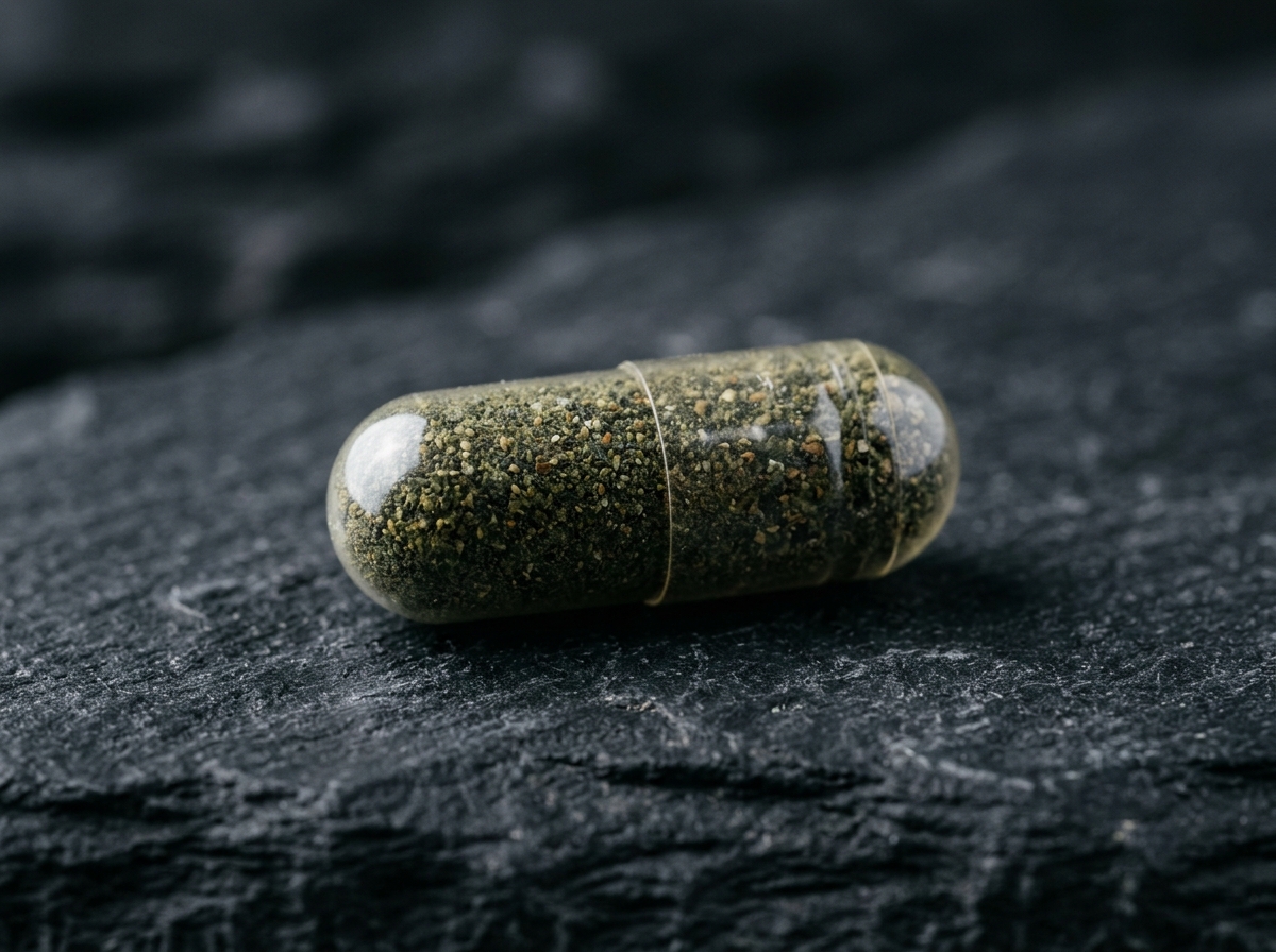 유산균 캡슐의 구조